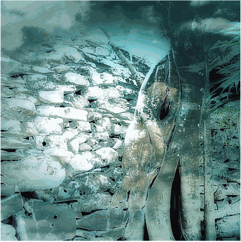 Stylized teal-toned image of a stone wall beside tree roots and tropical foliage, cool mysterious mood